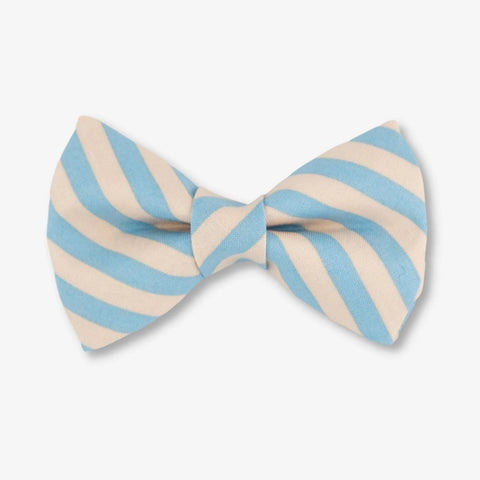 Cabana Dog Bow Tie