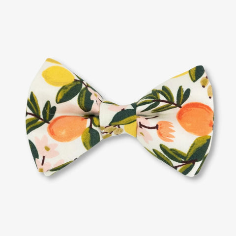 Citrus Dog Bow Tie