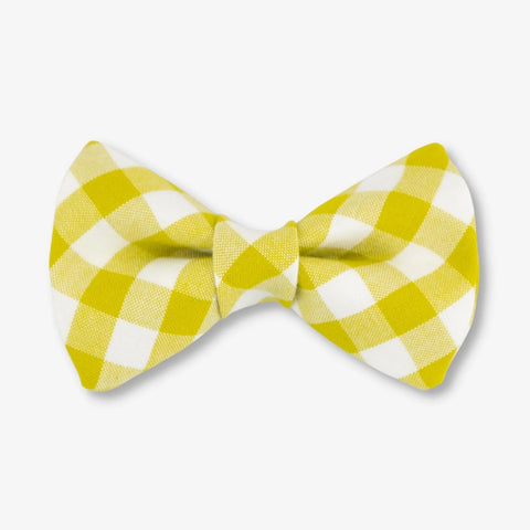 Lime Dog Bow Tie