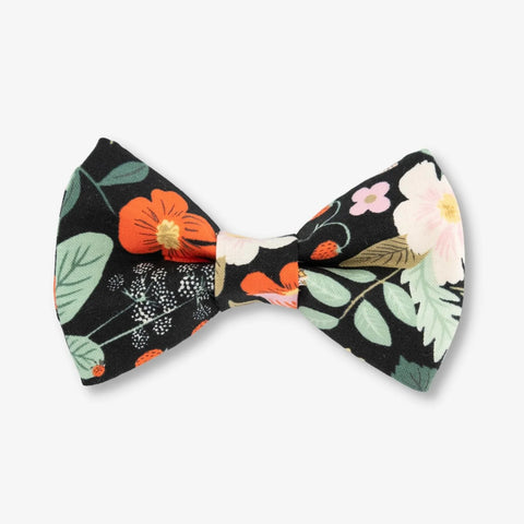 Black Fields Dog Bow Tie
