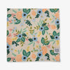 Birch Dog Bandana