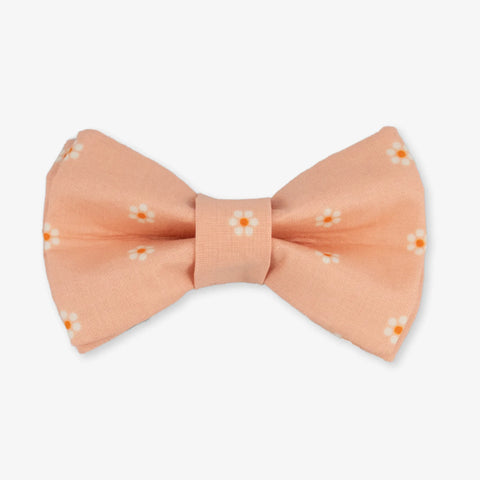Daisy Dog Bow Tie