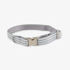 Chambray Stripe Dog Collar