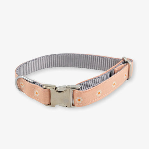Daisy Dog Collar