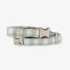 Sage Dog Collar