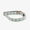 Sage Dog Collar