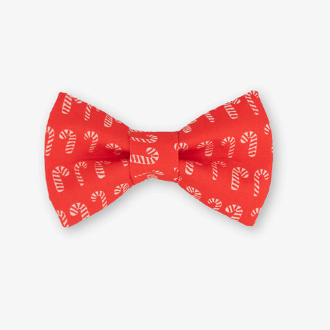 Candy Cane Dog Bow Tie