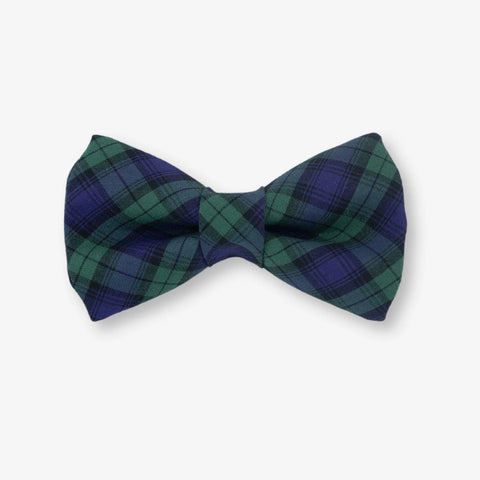 Morning Fog Dog Bow Tie