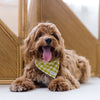 Lime Gingham Dog Bandana
