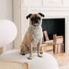 Bloom Dog Bandana
