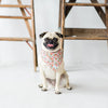 Rosa Blush Floral Dog Bandana