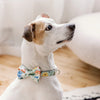 Fields Dog Collar