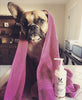 Hydrating Butter - For Dog's Skin & Coat - Leave-In Moisturizer