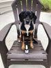 Essential Oil Dog Calming Spray