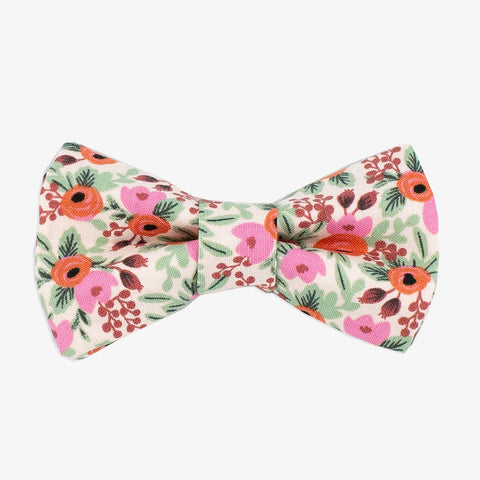 Rosa Blush Dog Bow Tie