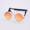 Dog Sunglasses