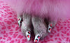 Pawdicure Polish Pens - All 13 Color Bundle - Luxurious Paws