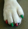 Pawdicure Polish Pens - All 13 Color Bundle - Luxurious Paws