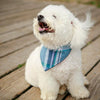 Lakeside Bandana - Luxurious Paws