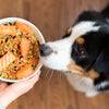Veg-to-Bowl - Luxurious Paws